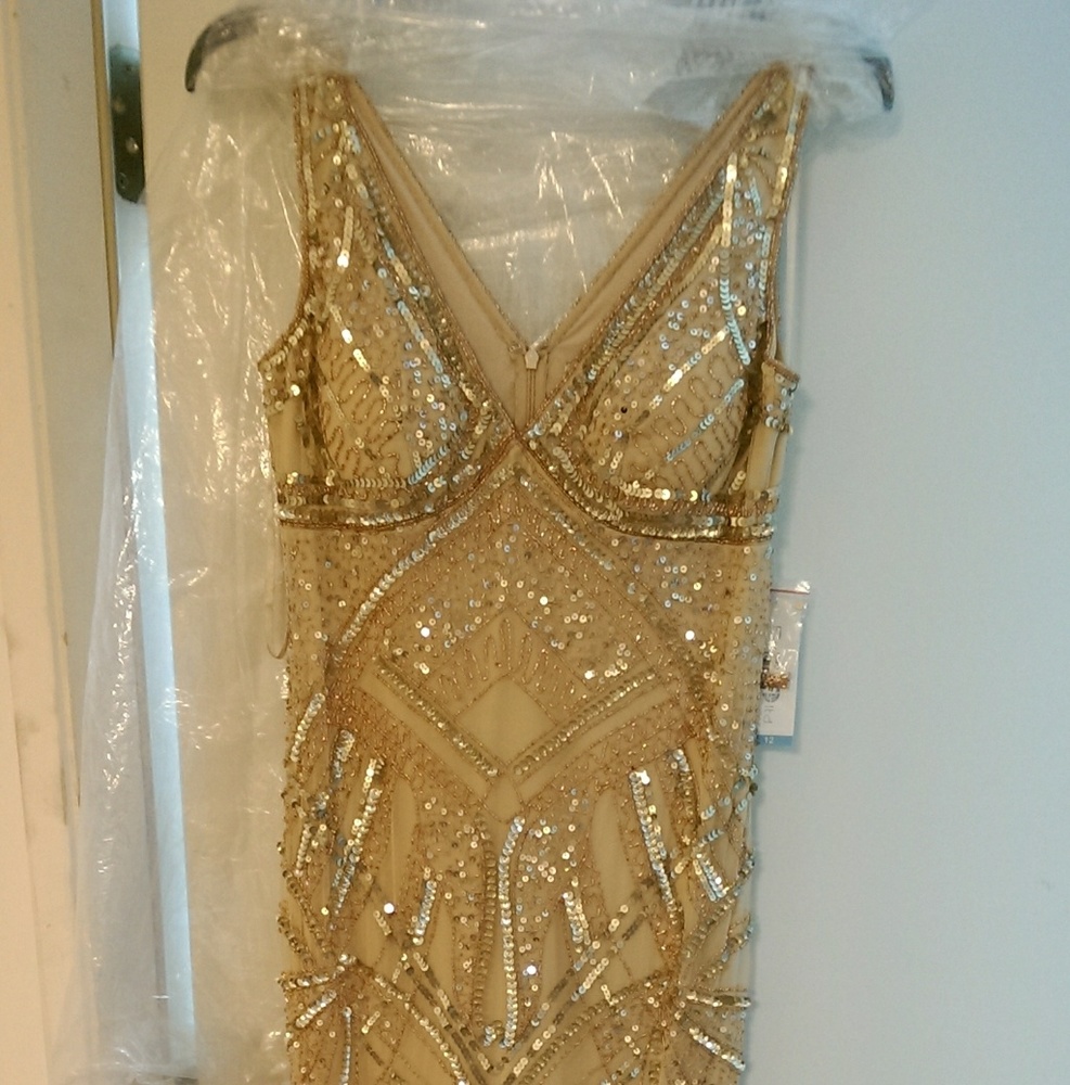 Patra Embellished Sequined Dress 12